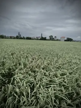 我在沙滩上画下我的爱，海浪不小心践踏了我的心。
