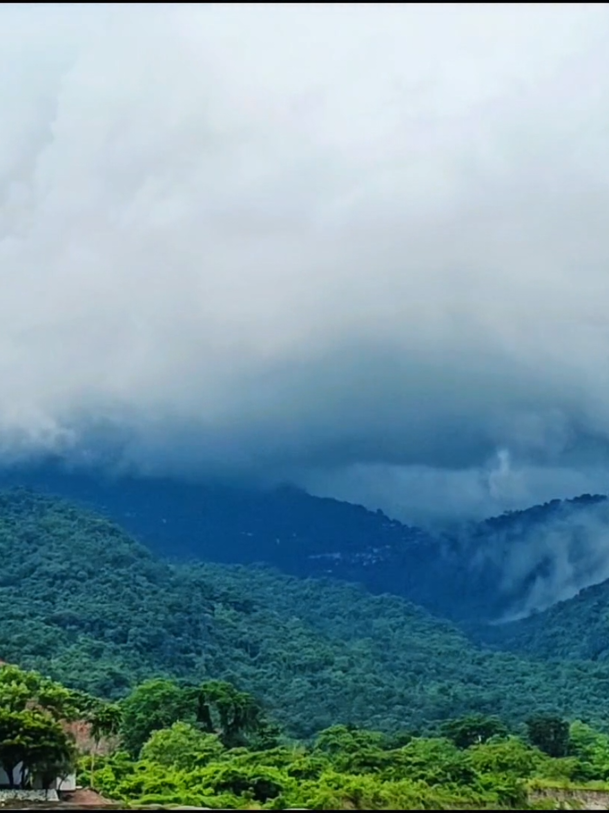 বর্তমানে ভোলাগঞ্জ সাদা পাথরে আসলে এমন মেঘের ভিউ প্রায় সব সময়ই দেখা যায় 🥹💚 #fyp #viral #foryoupage #nature #unfrezzmyaccount @For You @TikTok 