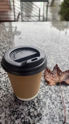 #осінь🍁🍁🍁 #кавазкраплямидощу☕️💦☔️ #цієїосенівонавженечекаєквітів💐 #краса 
