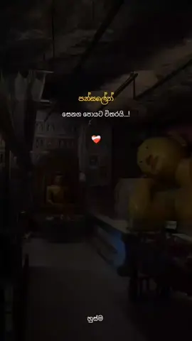 #මිනිස්සුන්ට_පෝයට_විතරයි_පන්සල_මතක්_වෙන්නෙත් #foryou #foryoupage #tending #wairal__video 