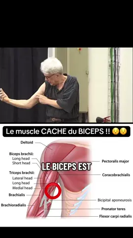 La partie caché du biceps 🤫🤫#medecine #anatomie #muscle #musculation #bodybuliding 