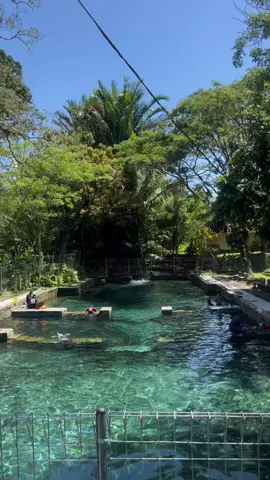 Air yang paling keren di pulau Ambon yaitu Air Wailatu #fyp #viraltiktok #fypage✨👀 #malukupride🏝🔥 #fyppppppppppppppp 