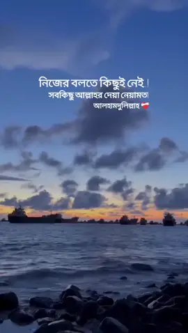 #new_trading_video_viral_tiktok_foryou #fypforyoupageシ  #followingpage✨🦋✨🦋 