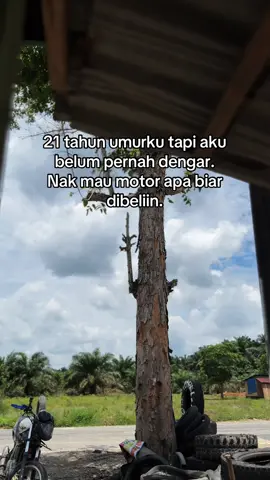 #fyp #storywa #pelalawan 