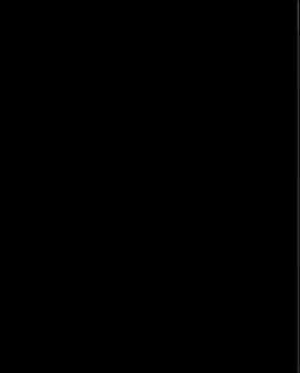 dheraii Wilde nagara vanxa malai daiharle👑🔥#vtenfan #videoviral #foryoupageofficiall #gaighatmuser🇳🇵 #foryoupage❤️❤️ 