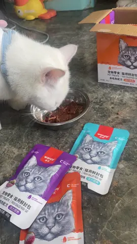 Patê siêu ngon combo 10 gói cho mèo#xuhuong #xuhuongtiktok ##pet 