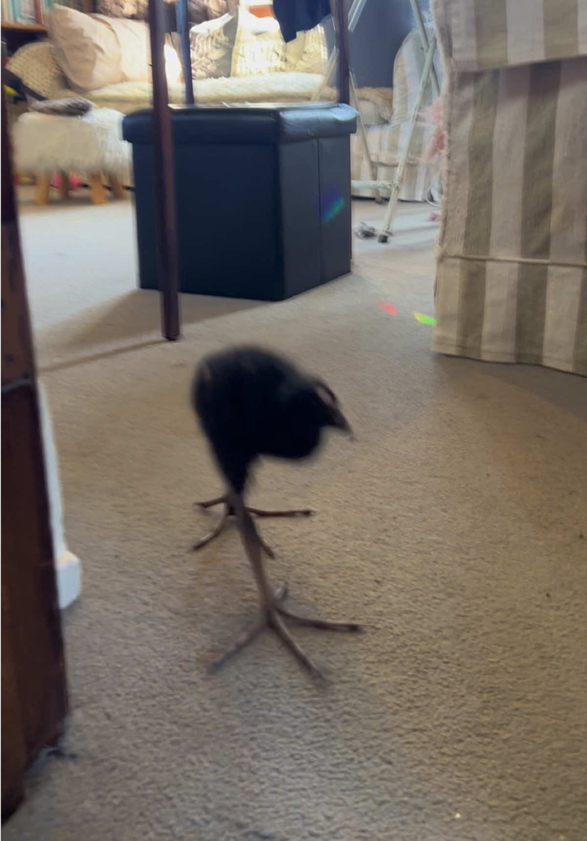 There is someone….. walking behind me…