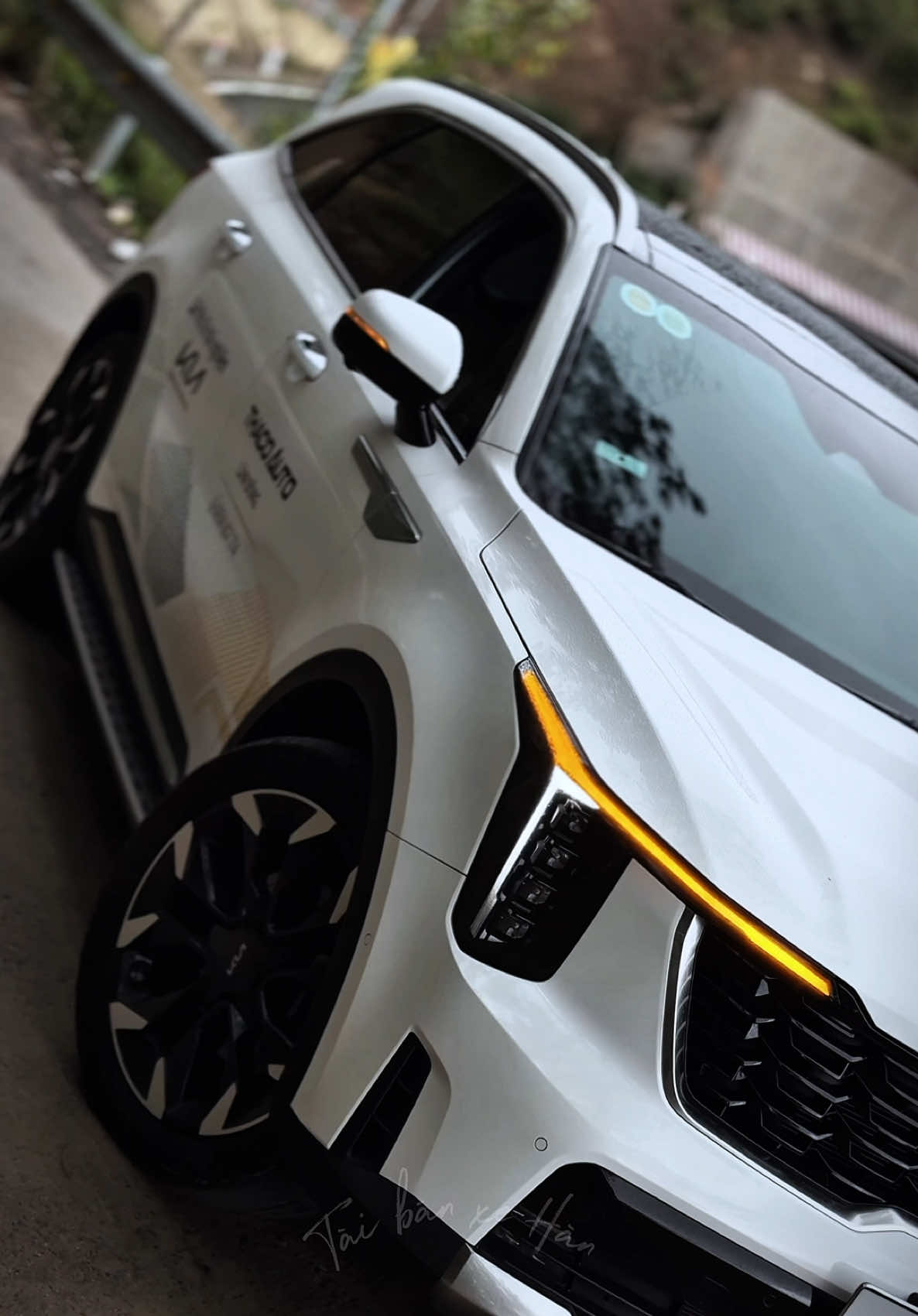 🔥🔥 Trải nghiệm lái thử NEW SORENTO tại Kia Đà Lạt 📞0981645280 #kia #sorento #kiasorento #fyp #dcgr 