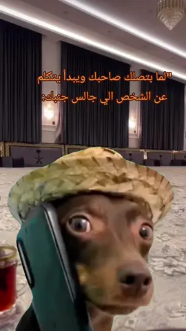 ههههه حصلت 