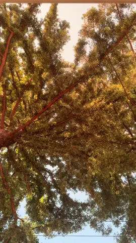 will i see you again?