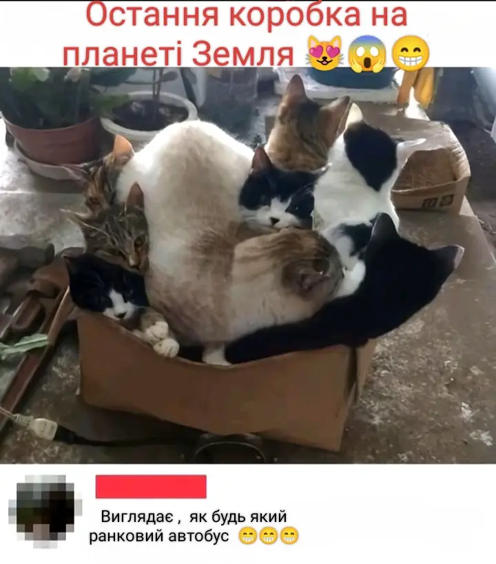 #ранок #актив  #маршрутка 