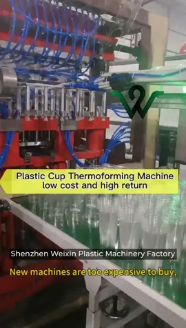 easy to operate disposable plastic cup making machine #easytooperate #disposable #cup
