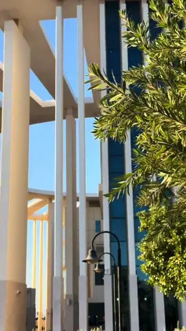 #جامعة #جامعة_صحار #fyp #هشتاج #اكسبلور 