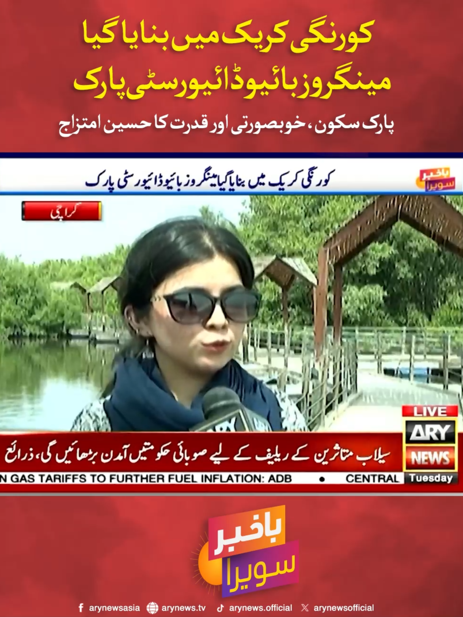 کورنگی کریک میں بنایا گیا مینگروز بائیو ڈائیورسٹی پارک پارک سکون، خوبصورتی اور قدرت کا حسین امتزاج #ARYNews