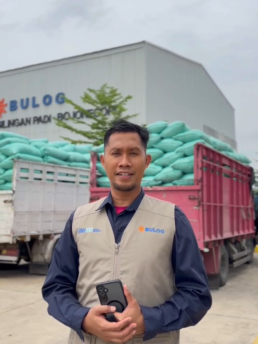 🌾✨ Bulog Bojonegoro terus berkomitmen hadir di tengah petani dengan melakukan penyerapan gabah hasil panen. Langkah ini bukan hanya untuk menjaga ketersediaan stok beras nasional, tetapi juga menjadi wujud nyata dukungan terhadap kesejahteraan petani lokal. Melalui penyerapan gabah secara berkesinambungan, Bulog memastikan harga gabah tetap stabil, petani merasa lebih sejahtera, dan masyarakat mendapatkan jaminan ketersediaan pangan yang cukup. 🚜🤝 Mari bersama-sama mendukung upaya ini, karena dari tangan petani lahir kekuatan pangan bangsa. 🇮🇩 @perum.bulog @prabowo @pco.ri @sudaru_sudaryono @ramdhaniahmadrizal @kementerianbumn @badanpangannasional #BULOG #BULOGHadir #BULOGJagaKetahananPangan #BULOGSalurkanBantuanPangan #BantuanPanganBULOG 