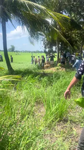 lâu lâu ở nhà chơi bửa mà cũng bị nữa anh em #nhibien70 #nhutcaibe 