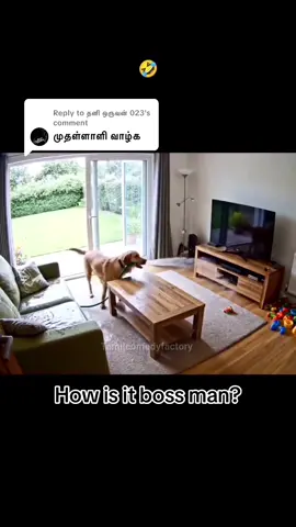 Replying to @தனி ஒருவன் 023 #உங்கள் #smallcrocodile 