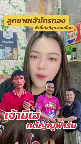 ประวัติเจ้ามีเฮ กตัญญูฟาร์ม #ผู้สาวบ้าไก่ #เจ้ามีเฮ #กตัญญูฟาร์ม #เสี่ยบอยกตัญญูฟาร์ม #ลูกเจ้าไกรทอง 