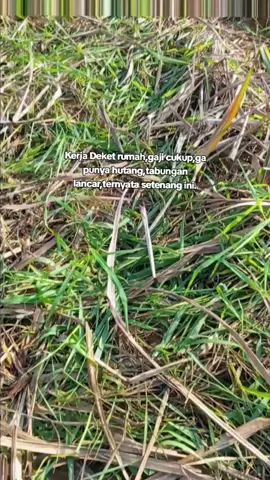 Allhamdulilah😁 #fyp  #truktua  #umplungmania 