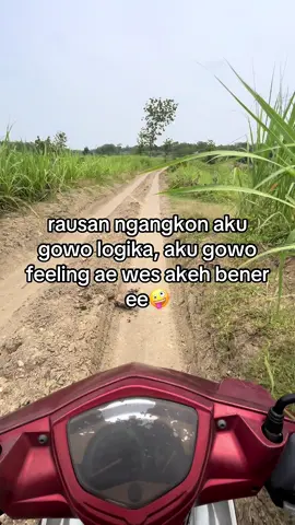 🤭🤭#fypシ #fyp #4u #masukberanda #promomakangajian 