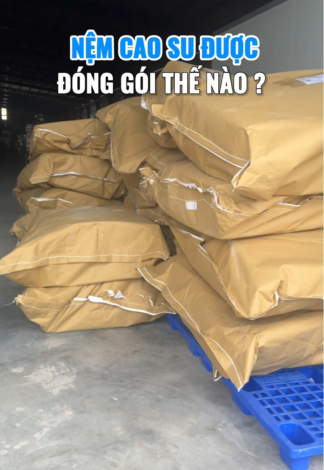 Không nhận ra tấm nệm của mình luôn #nemcaosuthiennhien #nemretina 