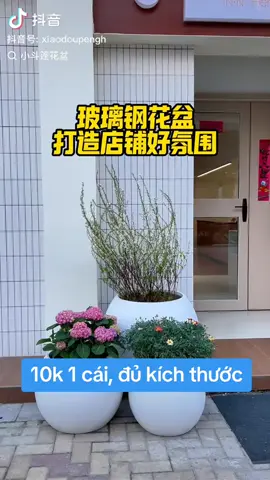 #chậu nhựa trồng cây dáng dài