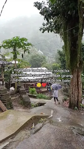 #fypvirall #katekatemesak #sasaklombok #fypvirall #fypvirall 