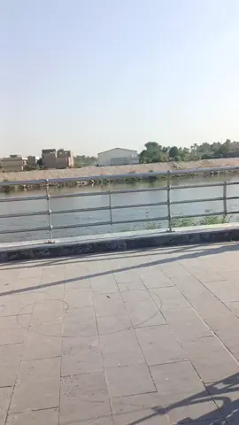 #راعي_البرتقالي #الشعب_الصيني_ماله_حل😂😂 #الباسكلات_لاتعرف_القانون #شلوخ_مانبيع_ما_عدنه_شي👑🧭 #مشاهدات 