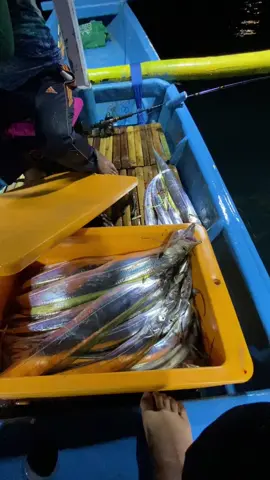 Panen 30/09/25#fypp #shimanofishing #layur 