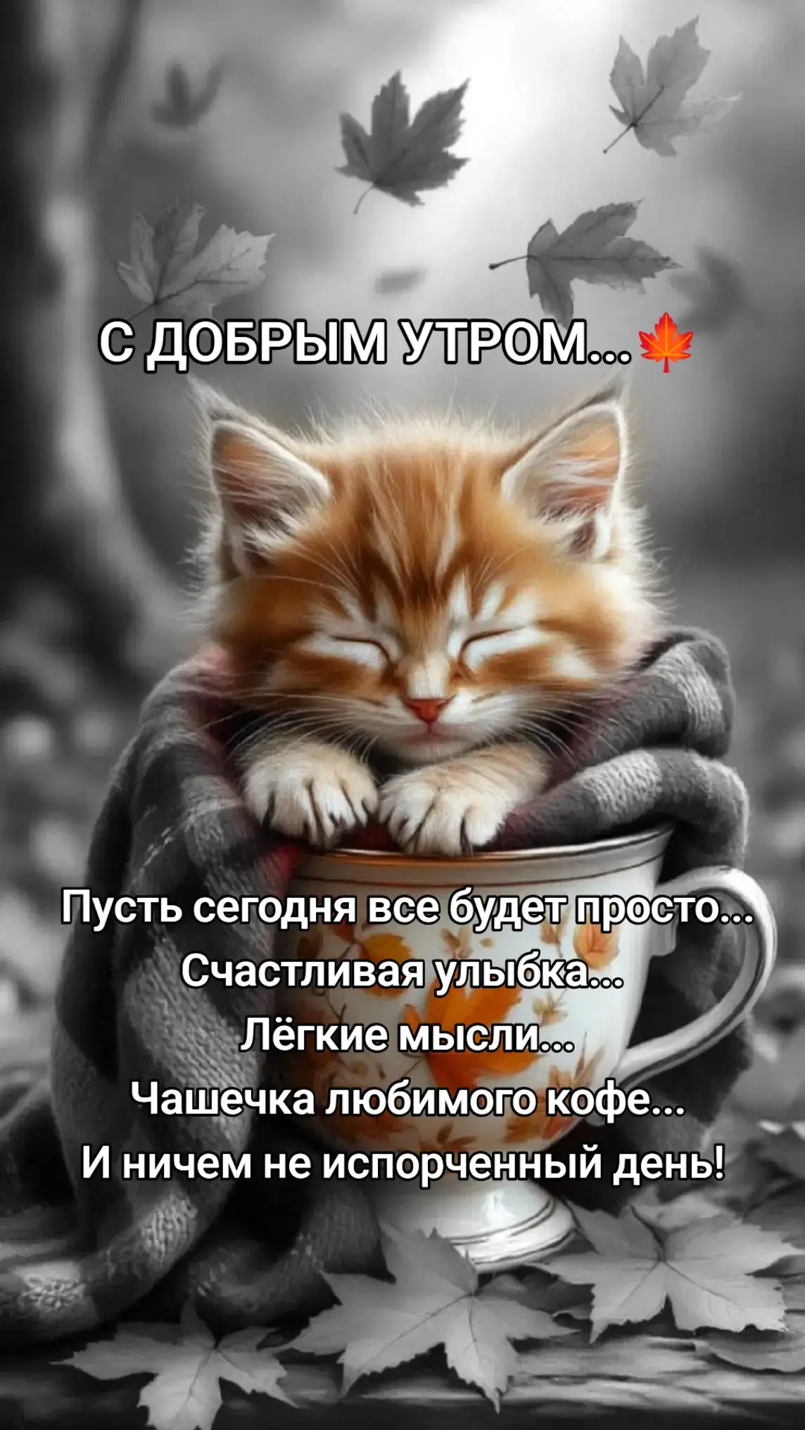 #Elza♥️♥️♥️ #люблю❤️ #2025 #доброеутро #