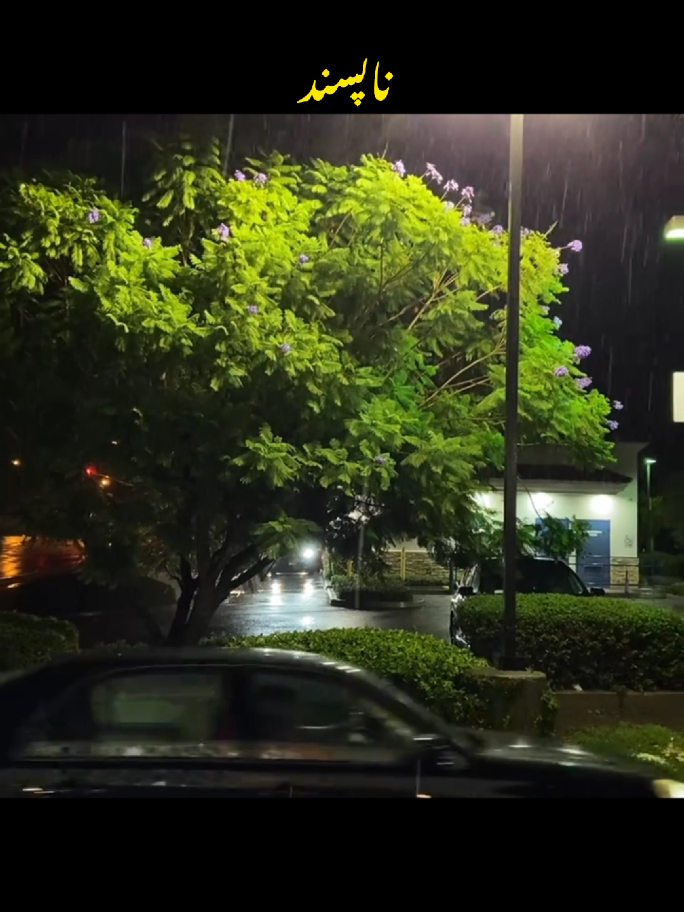 ہر چیز بدل جاتی ہے اس دنیا میں۔ #sadlife #sadpoetry #lifepoetry #sad #goviral 