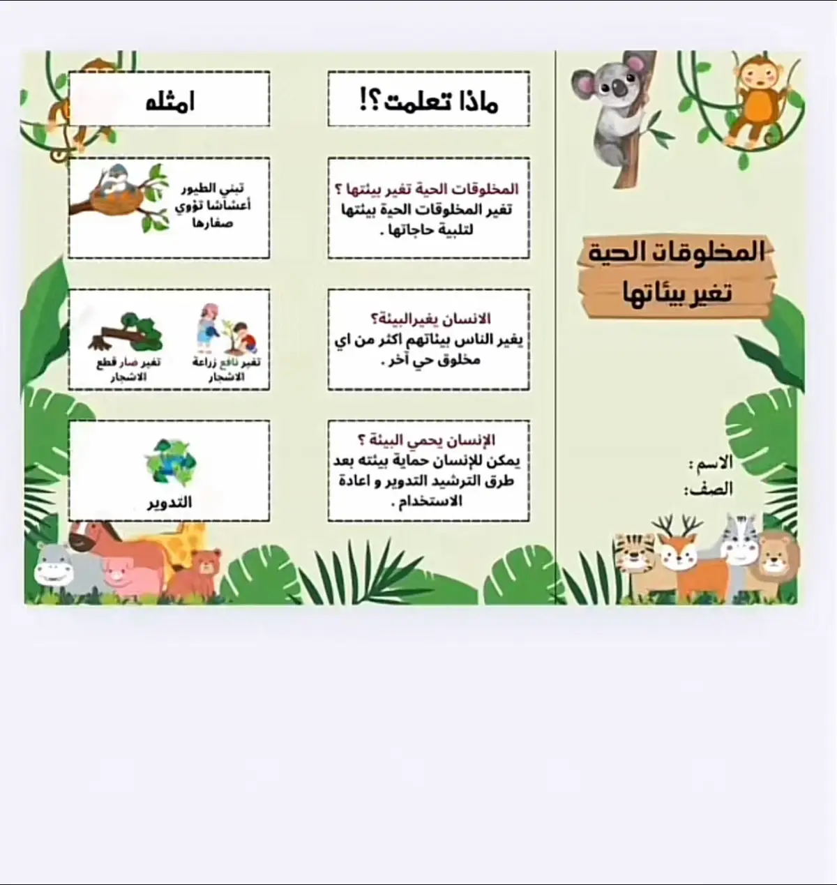 #foryou #اكسبلور #مطوية #foryoupage #مطويات 