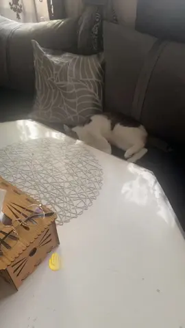 #pour #ex #🤲 #🙏🏻 #pourtoi 