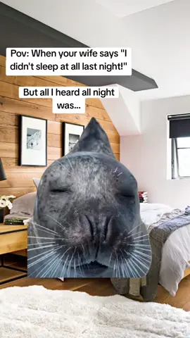 #CapCut #fyp #tiktokviral #viral #tik_tok 