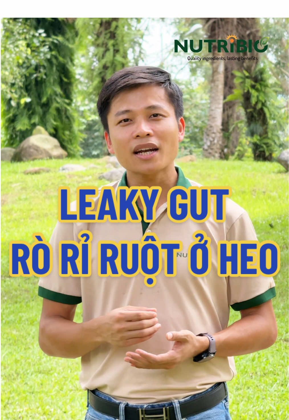 Rò rỉ ruột ở heo sau cai sữa - Leaky Gut.  #nutribio #channuoi #thucanchannuoi #phytogenics 
