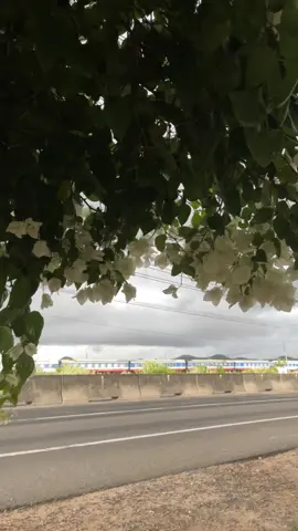 Bình yên là lúc lòng không sầu không vui. #caphehong?  #xh 