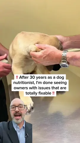 All of these are totally fixable, here is how 🐶❤️  #dogbehaviour #dogcare #dogcaretips #doghealth #vet 