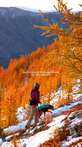 Fall in Washington is unmatched #washington #Hiking #fall 