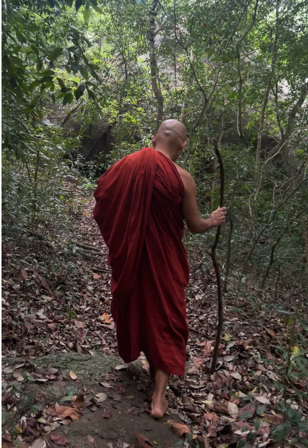 We are here to UNDERSTAND THE TRUTH in this human form.  Truth is not true because someone teaches it or claims it — truth is true because it stands by itself, unshaken by belief or opinion. It needs no validation, it simply is. #spirituality #awareness #enlightenment 