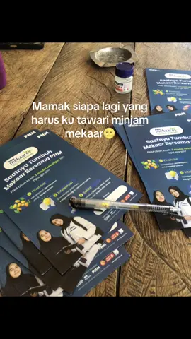 Menerima info kelompokan baru📞#pnmmekaarhits#pyf#pnm 