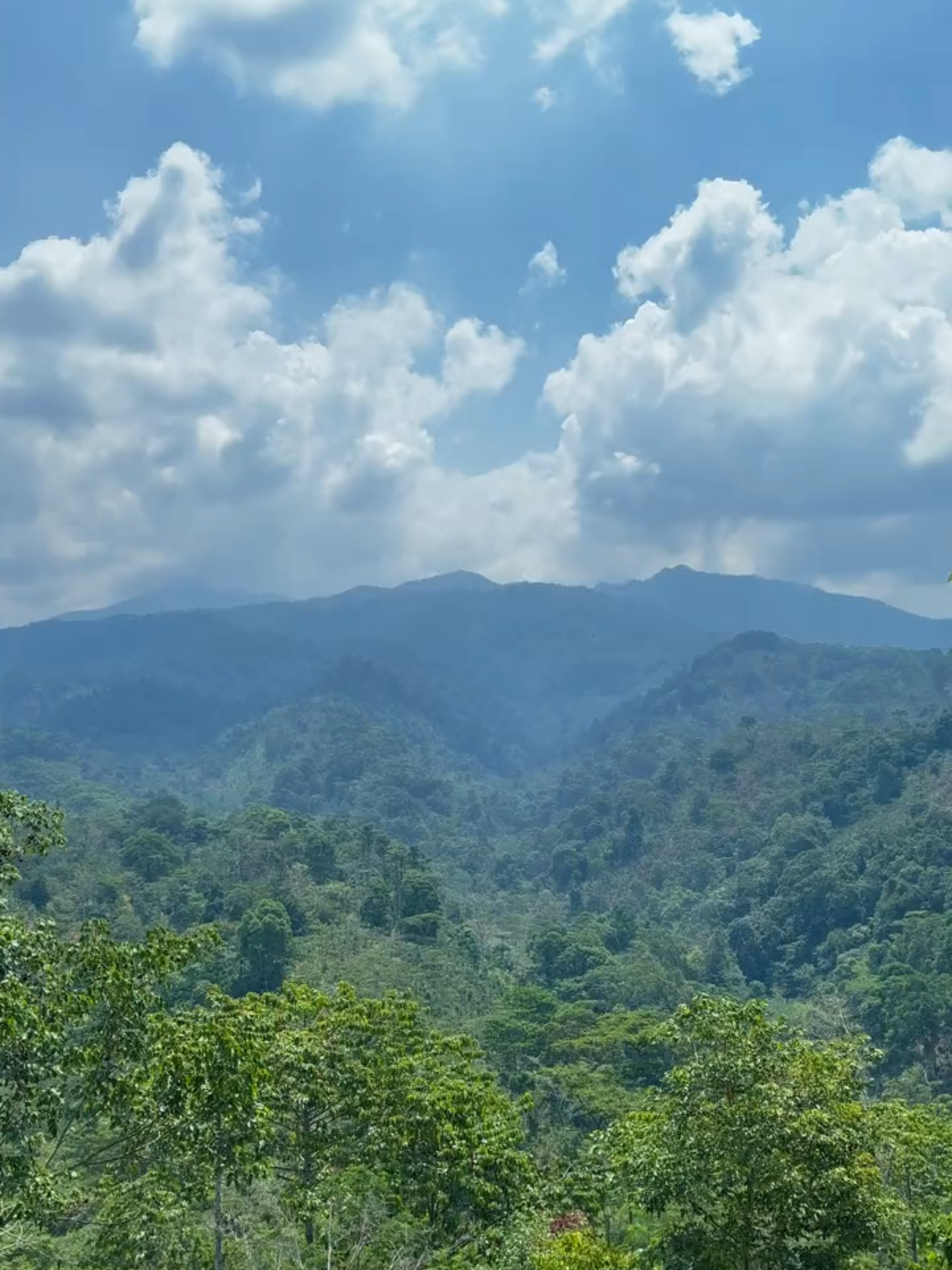P adu gunung…😎 #gunung #perbukitan #108060fps #pemandanganalam #lampura 