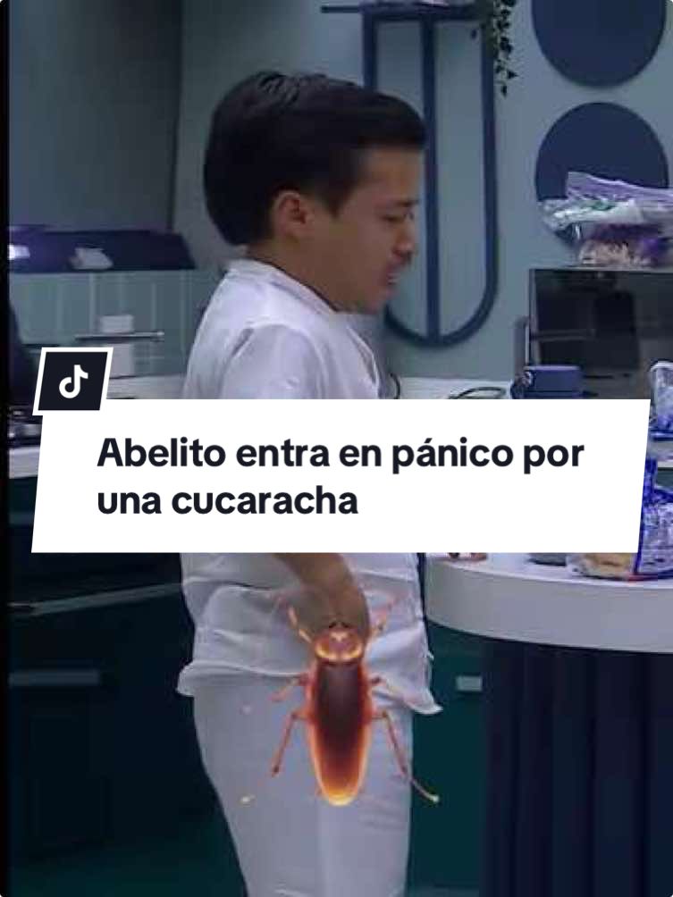 @Abel Saenz R. se ESPANTA por una CUCARACHA Si quieres ver el momento COMPLETO, suscríbete ya a @vix y no te pierdas de nada con el 24/7 🔥 #LaCasaDeLosFamososMx, rumbo a la final, disponible también en #LasEstrellas y #Canal5