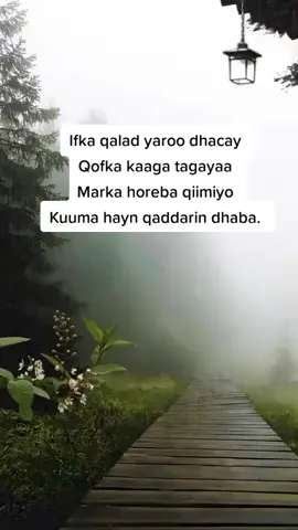 #igusobiir❤🤦‍♀️🙏 #saxibayaal #somalitiktok #somalinimo #igabadan🇸🇴🇸🇴🇸🇴 