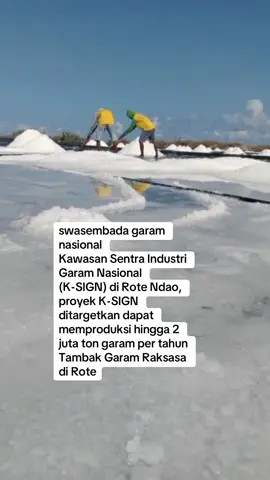 KKP Ajak Swasta Masuk Proyek Tambak Garam Raksasa di Rote Ndao