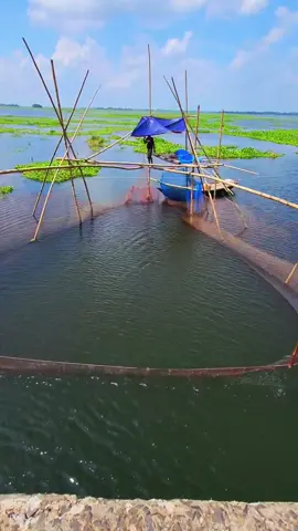 #গ্রামের নদীর মাছ#foryou #fpyシviral #