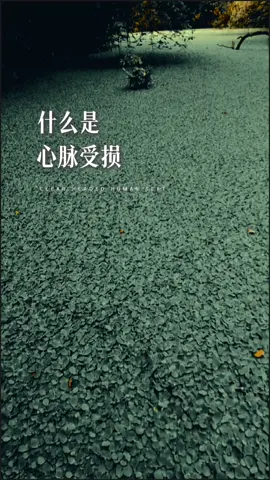 #人生感悟 #情感 