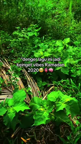 “vibes ramadan 2020🥹🫀🧠🕌❤️‍🩹#vibesramadan2020#laguramadan2020#puasaramadan2020#fyppppp#nostalgia#sunset#fyppp#virall 