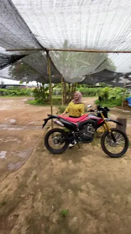 #crf #crf150l#crfstandarpabrik #fyppppppppppppppppppppppp 