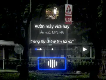 “Nàng lấy đi trái tim tôi rồi” #nguytoan #ntt201_ #nhacnaychillphet 