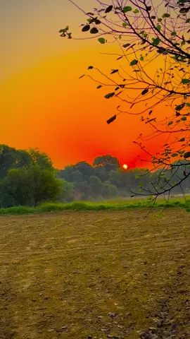 ❤️🥀🌾#pindawale #foryoupage #tiktokpakistan #1millionaudition #communitytiktok 